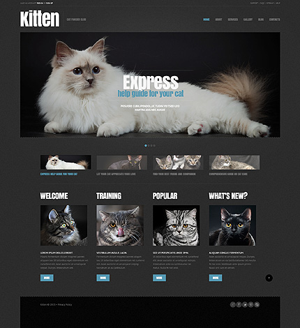 Bootstrap Cherry Framework Responsive WordPress Theme