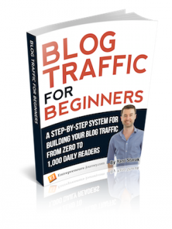 Blog Traffic For Beginners