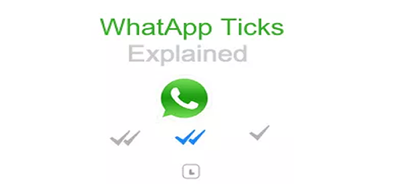 What the Check Marks Mean on WhatsApp for Message Status