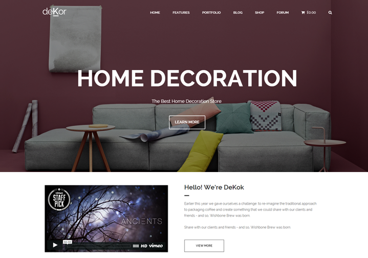 Ecommerce WordPress Theme