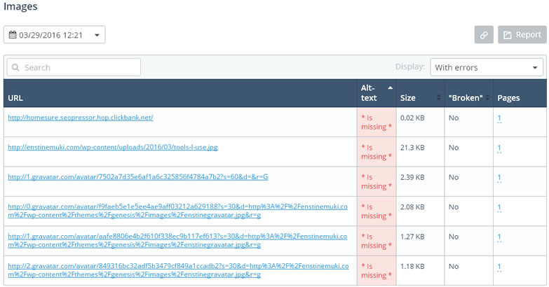 topvisor auditing