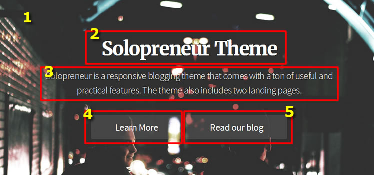 solopreneur review 