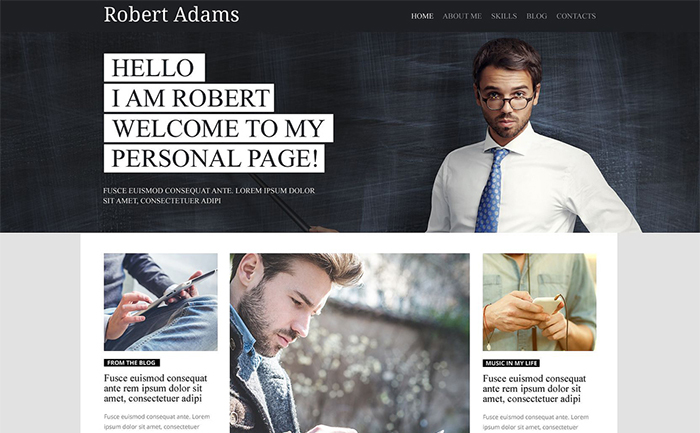 Personal Profile WordPress Theme 