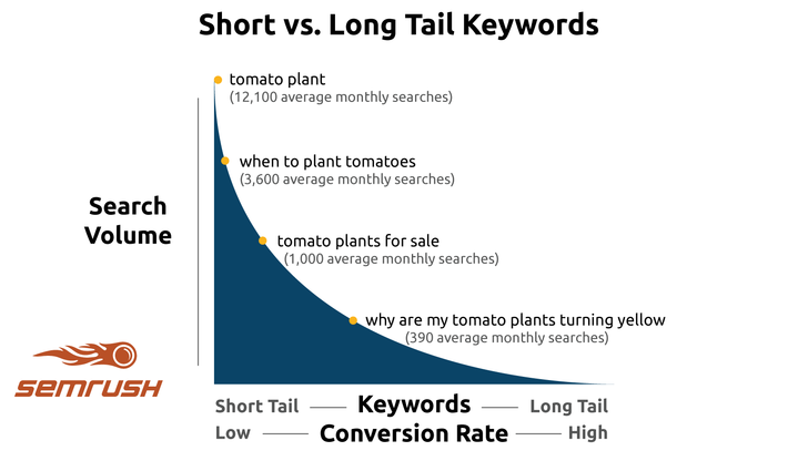 long tail importance