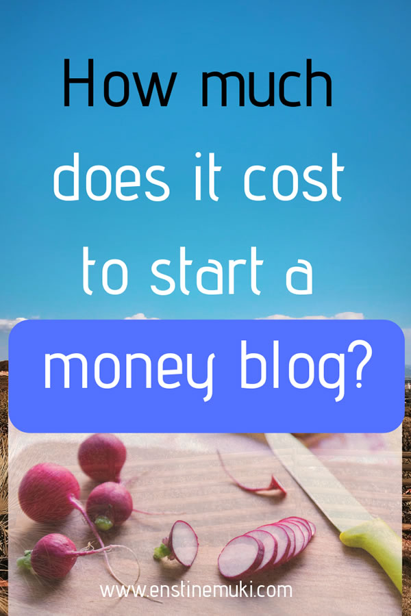 How much does it cost to start a money making blog