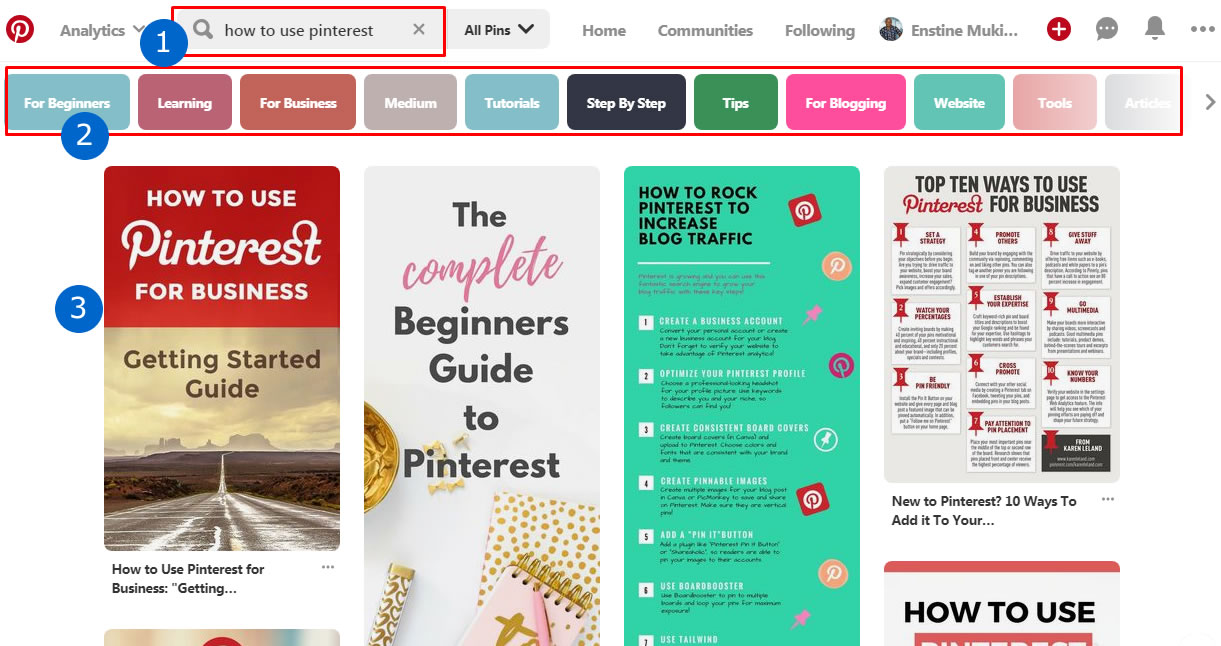 pinterest serp