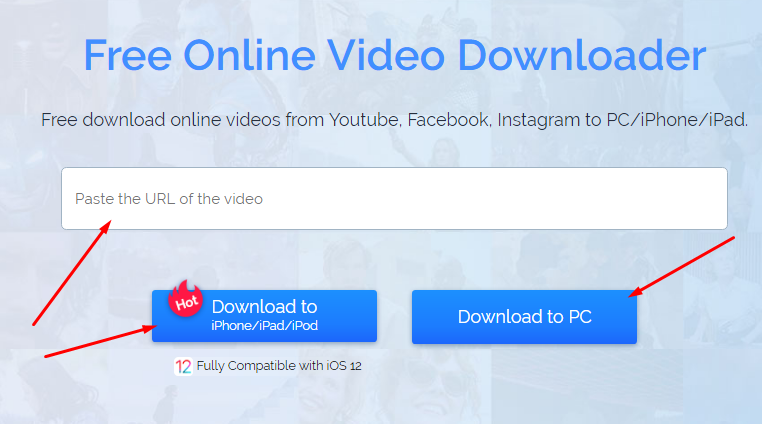 free online video downloader youtube