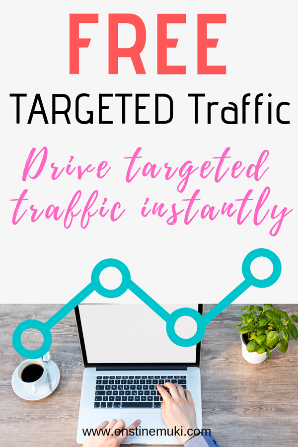 Free TARGETED Traffic pin