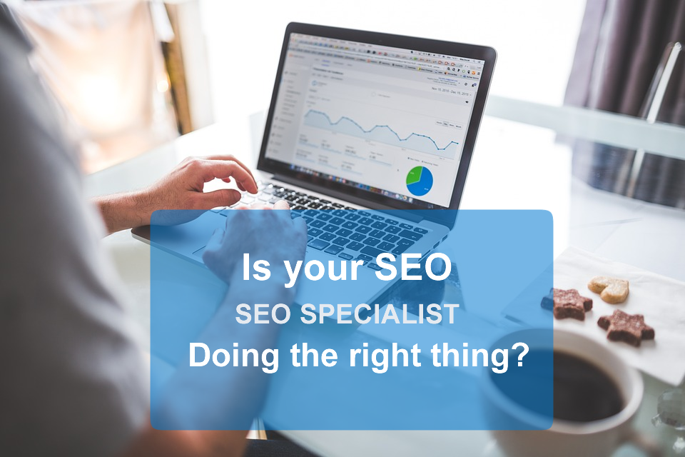 seo specialist