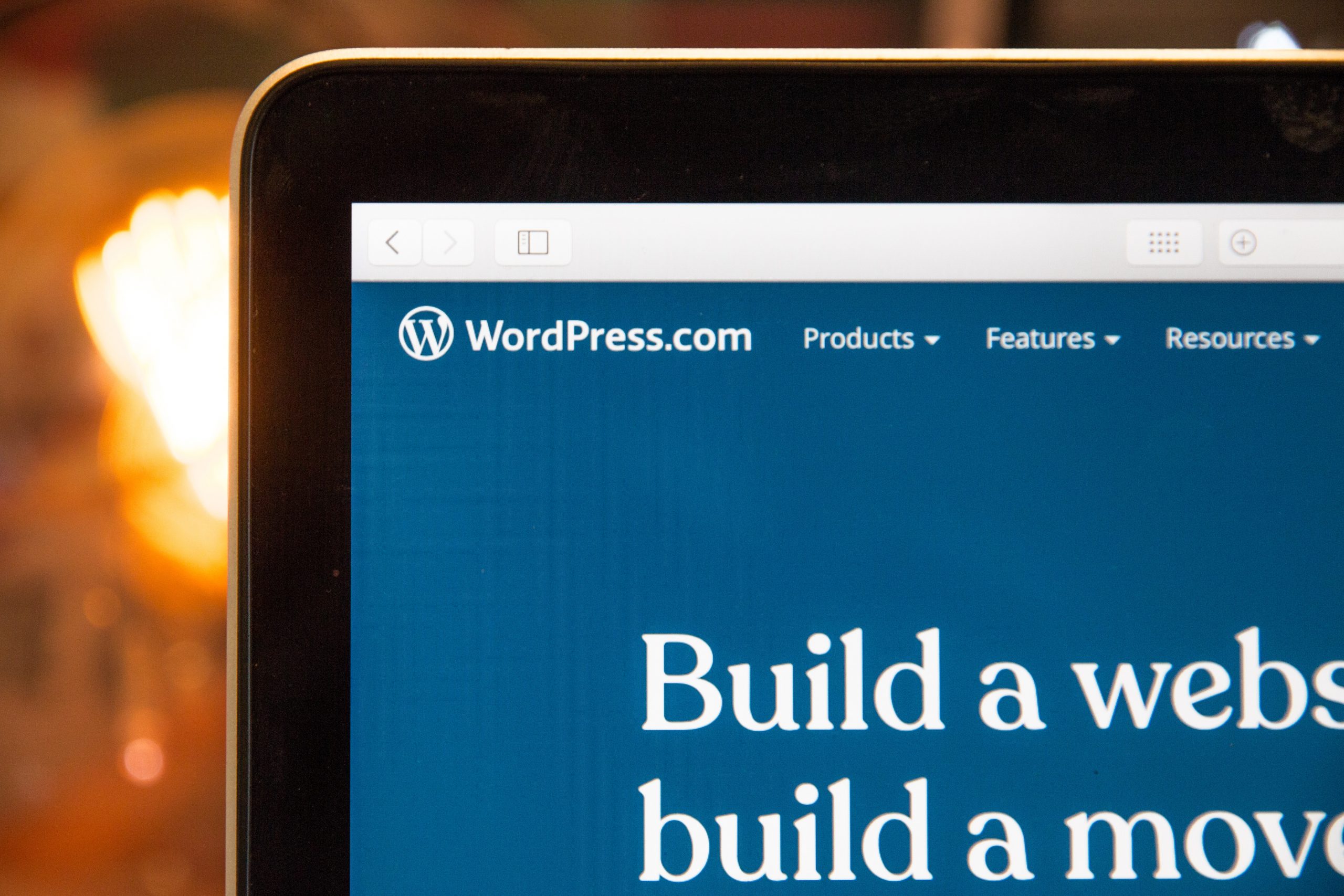 What Attracts You To a WordPressTheme
