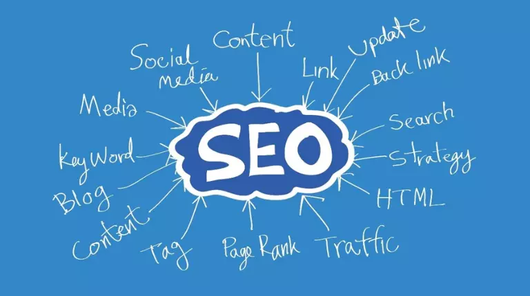 Best SEO Company Primelis in 2022