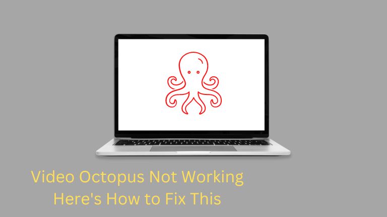 Video Octopus Not Working - Here's How to Fix This
