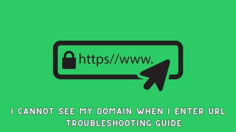 I Cannot See My Domain When I Enter URL: Troubleshooting Guide
