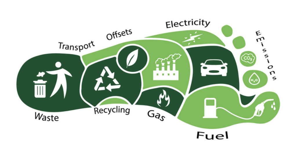 How Cargo Businesses Can Lead in Carbon Offset Efforts