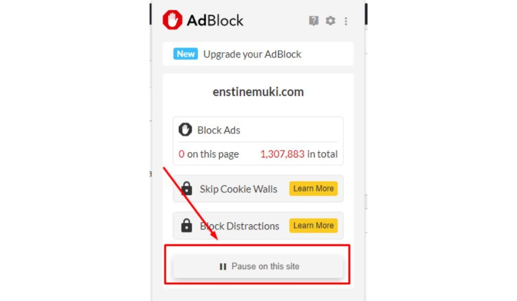 Disable or Adjust Your Ad Blocker