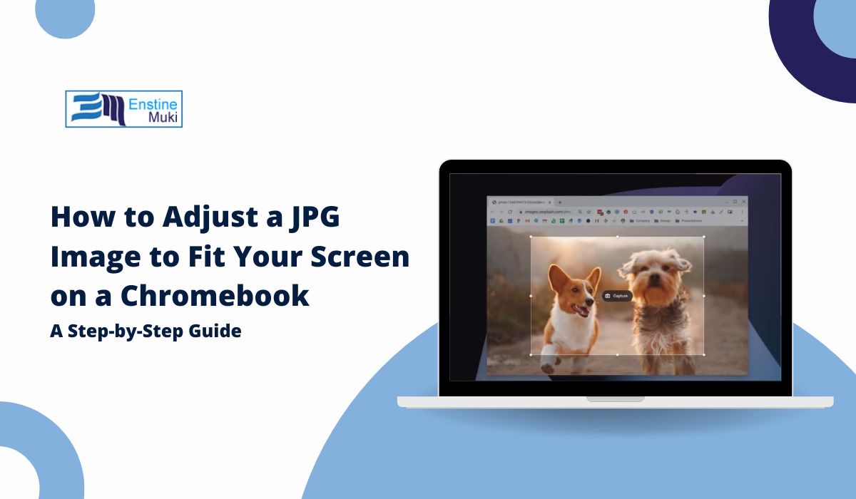 How to Adjust a JPG Image to Fit Your Screen on a Chromebook