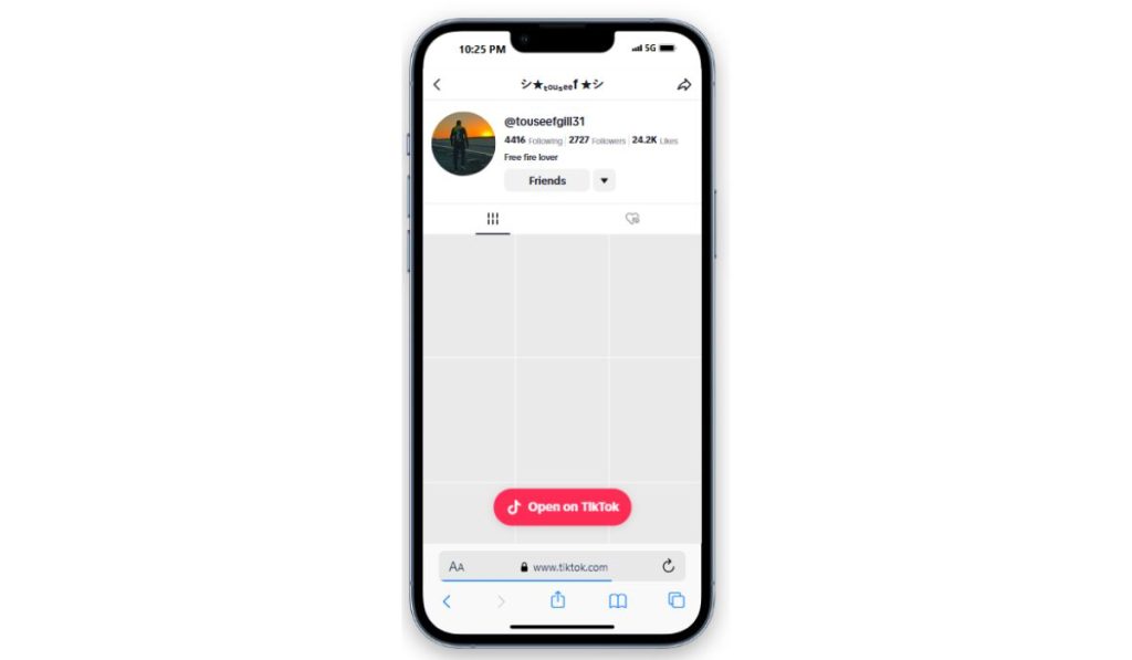 What is the TikTok Profile Views feature?