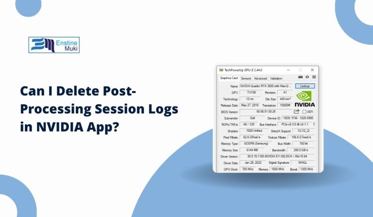 Can I Delete Post-Processing Session Logs in NVIDIA App