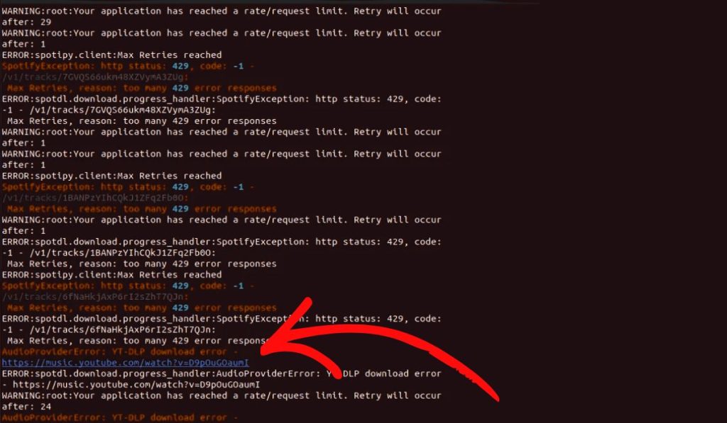 What Is spotDL Audio Provider Error