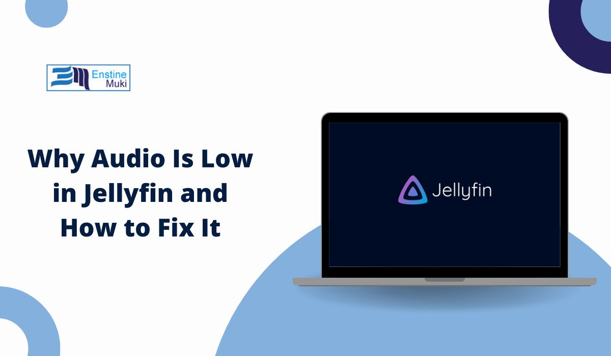 Why Audio Is Low in Jellyfin and How to Fix It